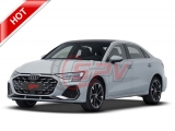 AUDI A3 Daily Car